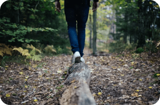 Walking in the forest